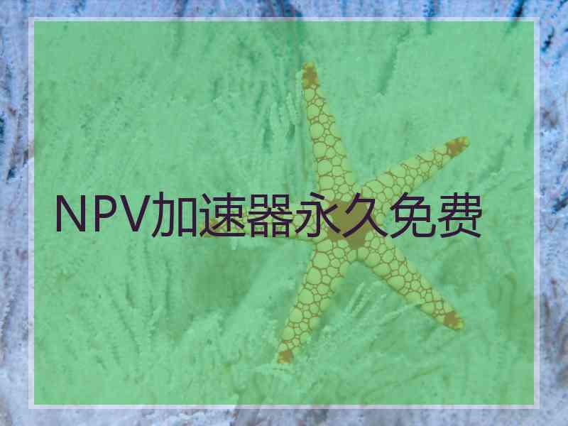 NPV加速器永久免费