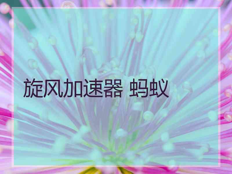 旋风加速器 蚂蚁