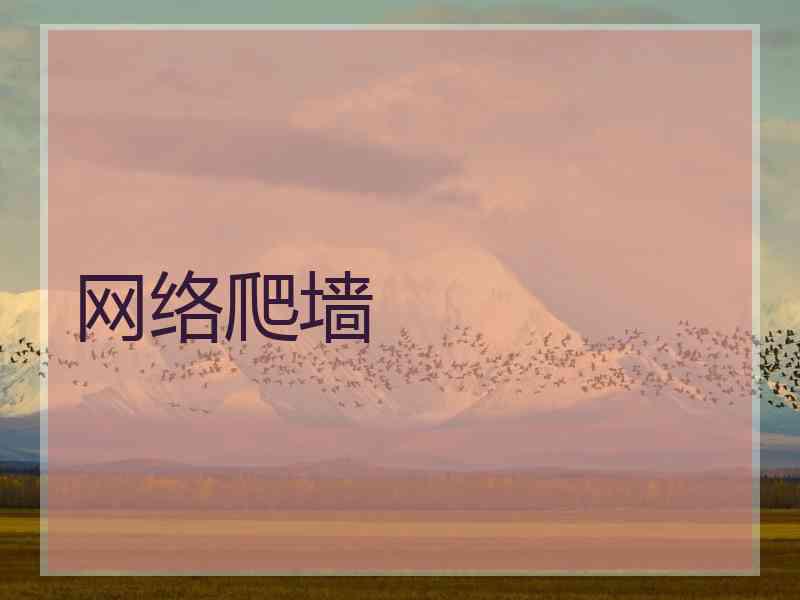 网络爬墙
