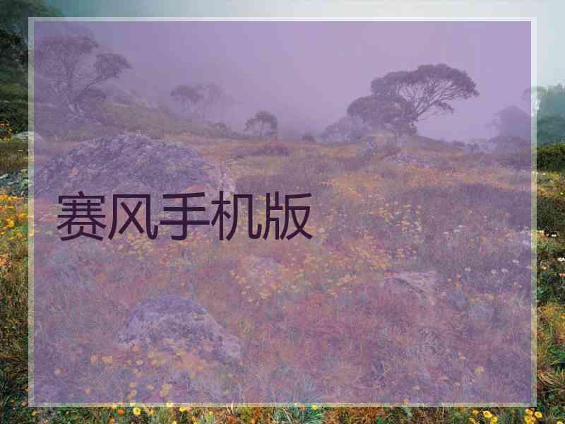 赛风手机版