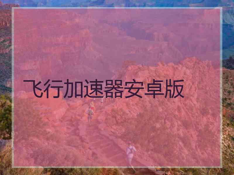飞行加速器安卓版
