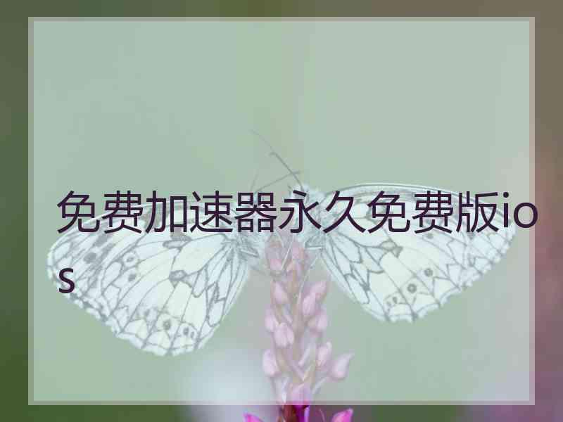 免费加速器永久免费版ios