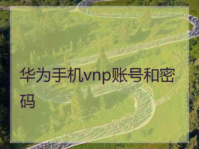 华为手机vnp账号和密码