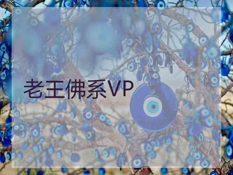 老王佛系VP