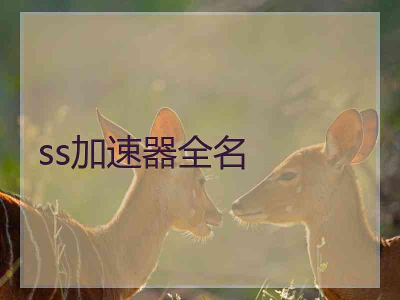 ss加速器全名