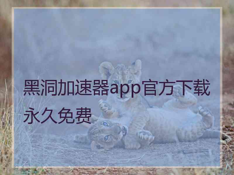 黑洞加速器app官方下载永久免费