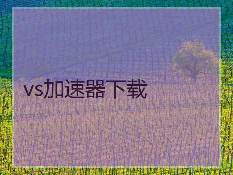 vs加速器下载
