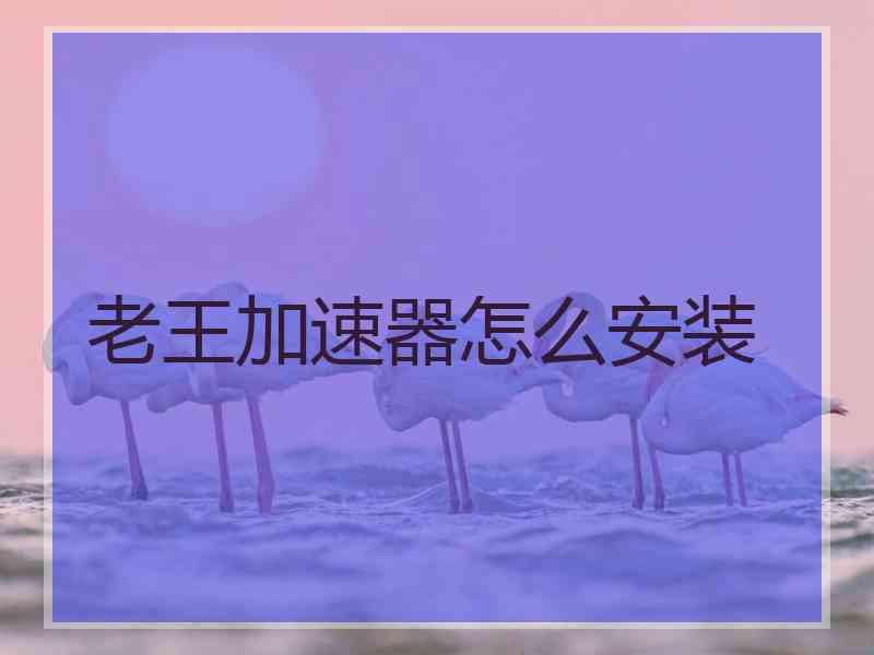 老王加速器怎么安装