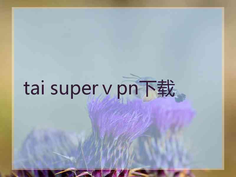 tai superⅴpn下载