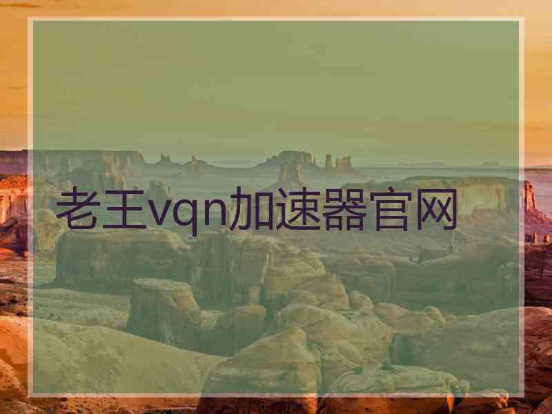 老王vqn加速器官网