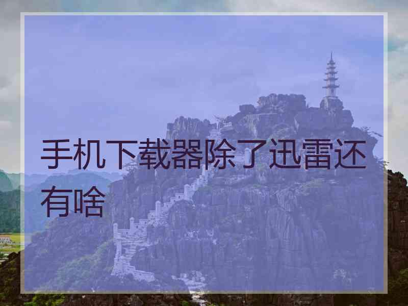 手机下载器除了迅雷还有啥