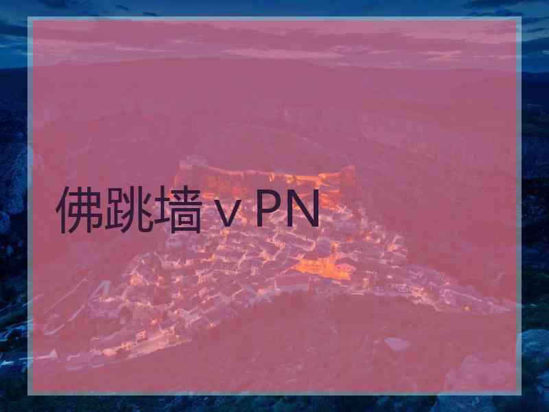 佛跳墙ⅴPN