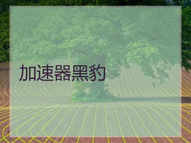 加速器黑豹