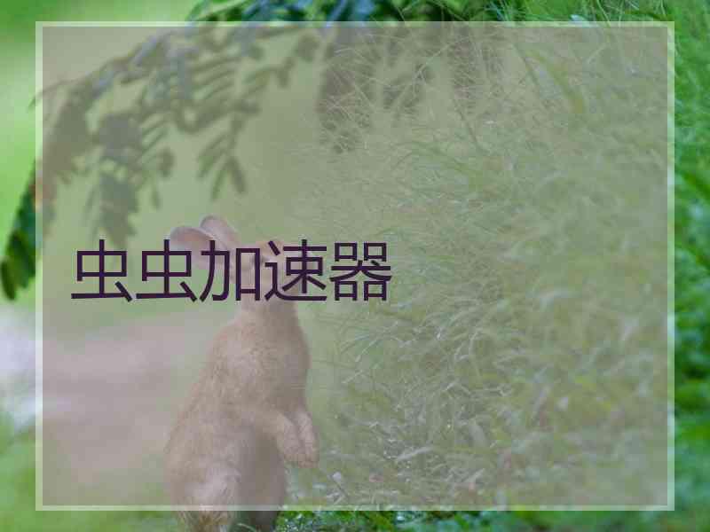 虫虫加速器