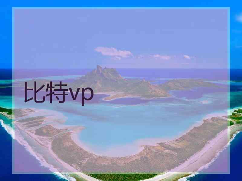 比特vp