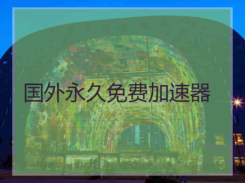 国外永久免费加速器