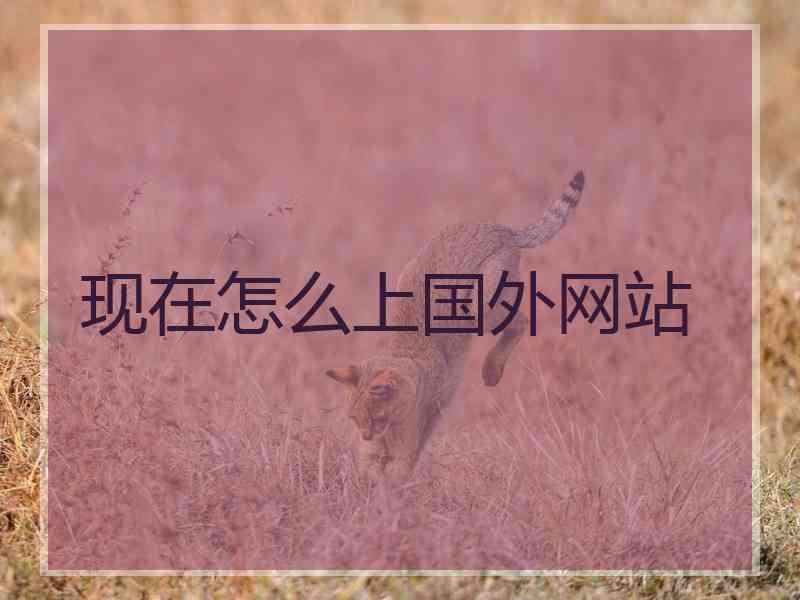 现在怎么上国外网站