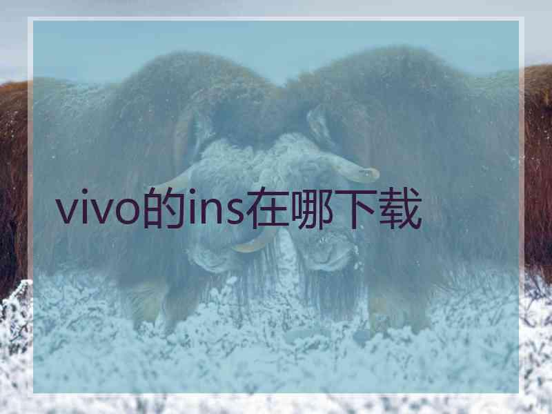vivo的ins在哪下载