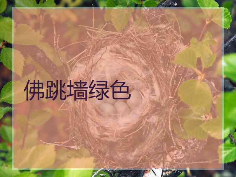佛跳墙绿色
