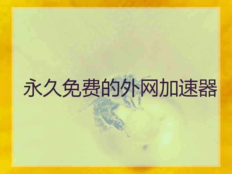 永久免费的外网加速器
