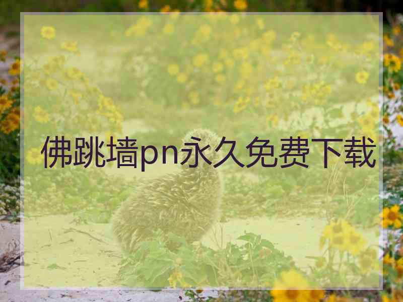 佛跳墙pn永久免费下载