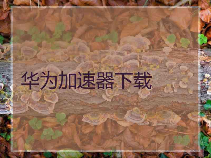 华为加速器下载