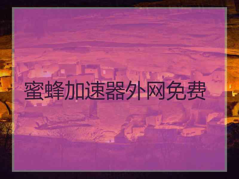 蜜蜂加速器外网免费