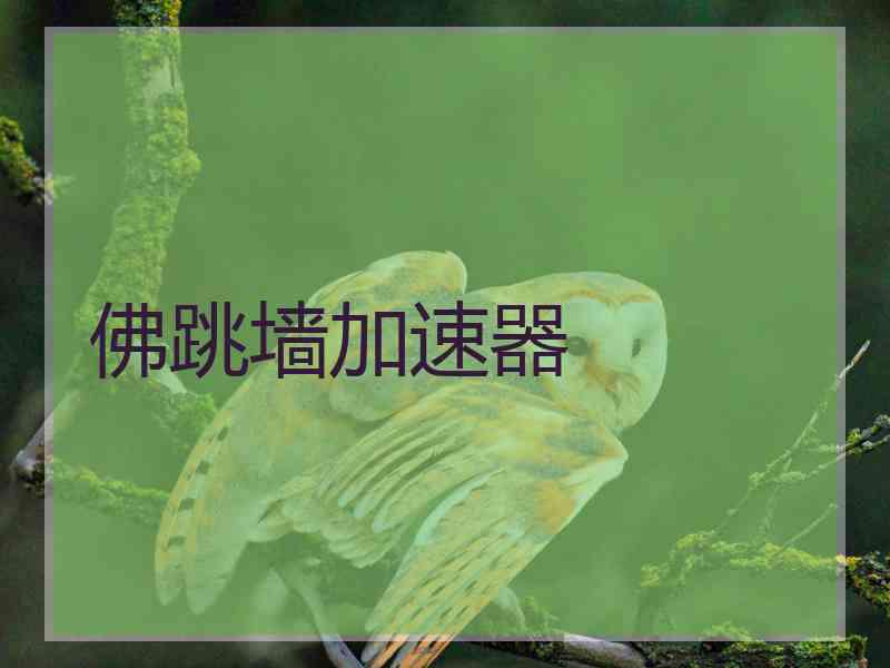 佛跳墙加速器