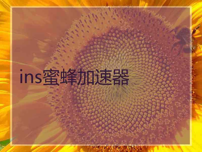 ins蜜蜂加速器