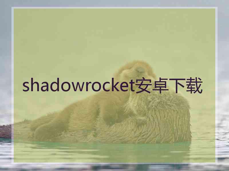 shadowrocket安卓下载