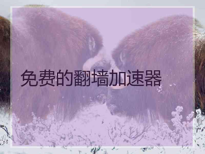免费的翻墙加速器
