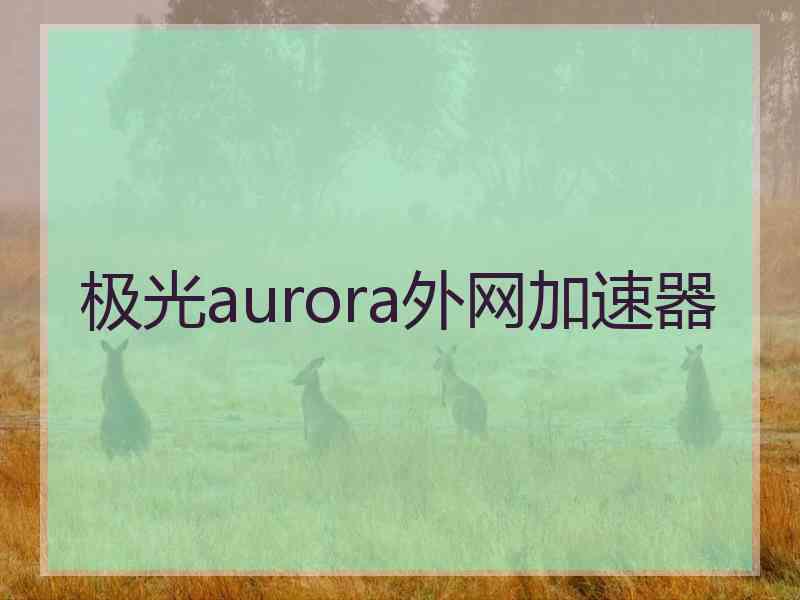 极光aurora外网加速器