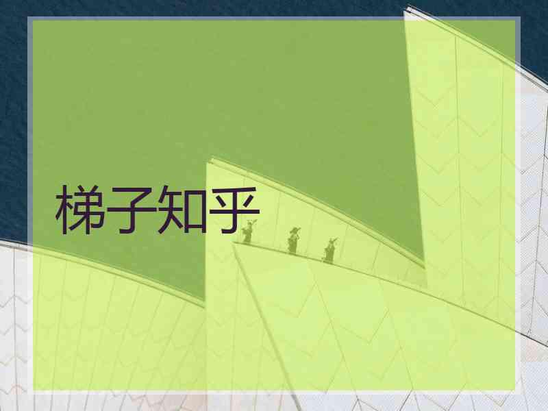 梯子知乎