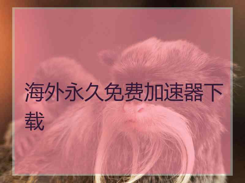 海外永久免费加速器下载