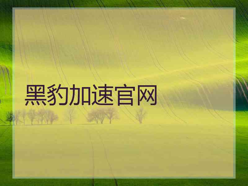 黑豹加速官网