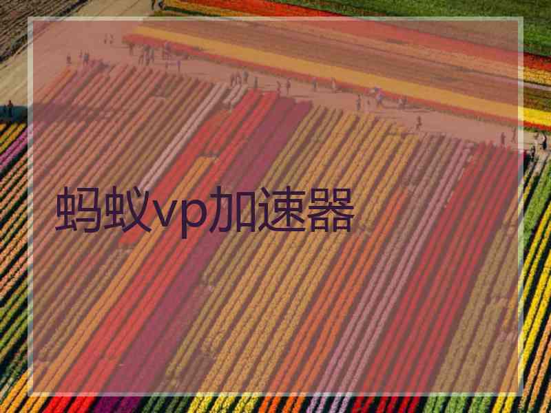 蚂蚁vp加速器