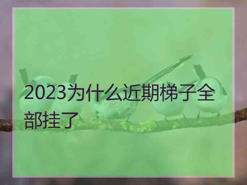 2023为什么近期梯子全部挂了