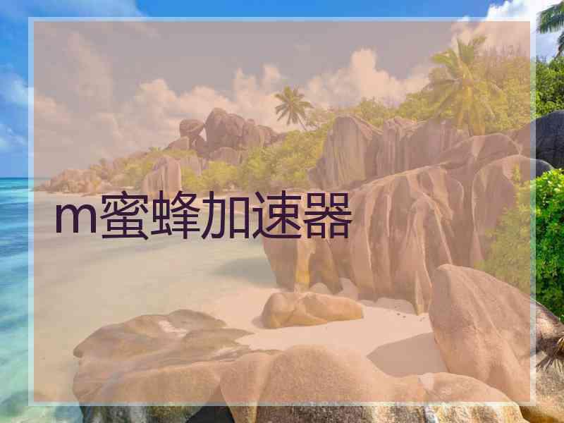 m蜜蜂加速器