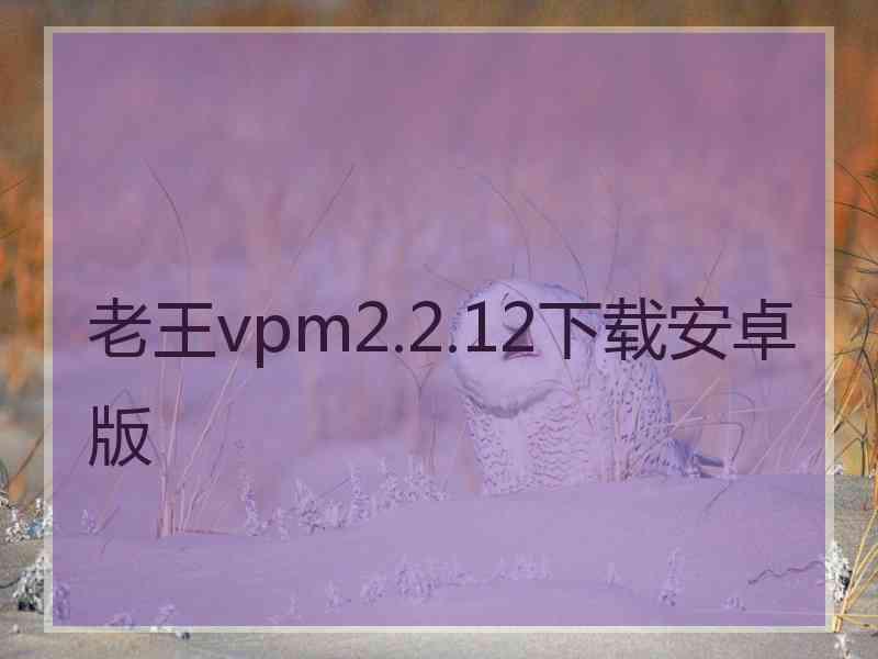 老王vpm2.2.12下载安卓版