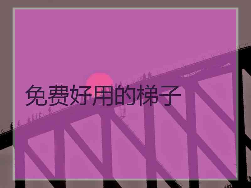 免费好用的梯子