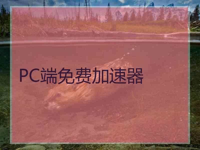 PC端免费加速器