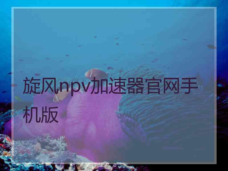 旋风npv加速器官网手机版