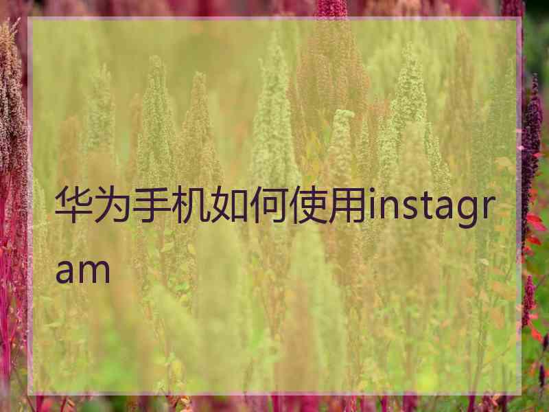 华为手机如何使用instagram