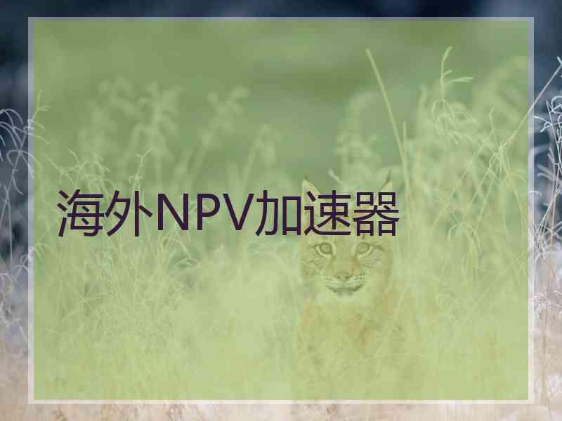 海外NPV加速器