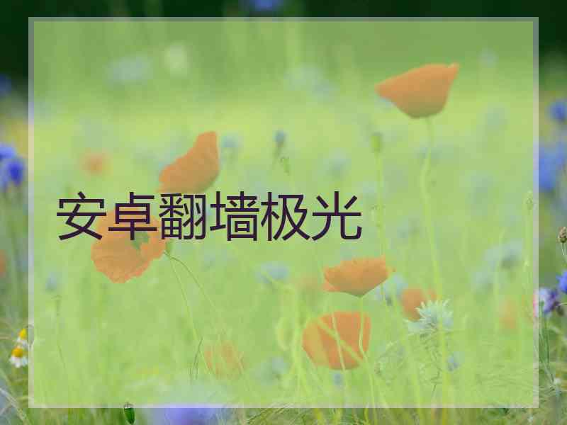 安卓翻墙极光