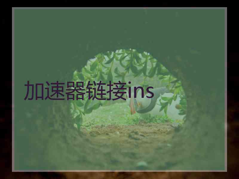 加速器链接ins