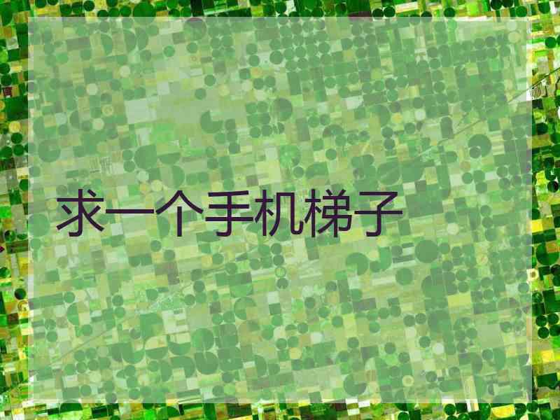 求一个手机梯子