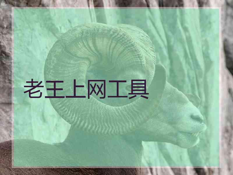 老王上网工具