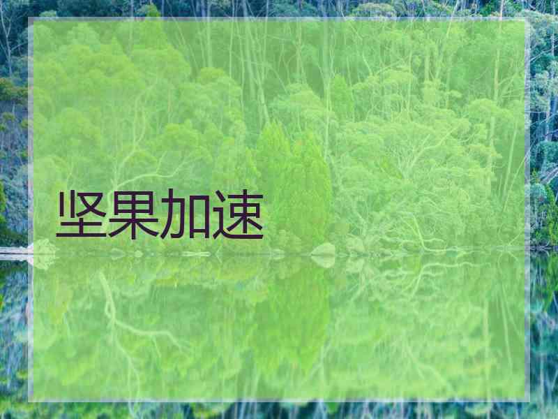 坚果加速