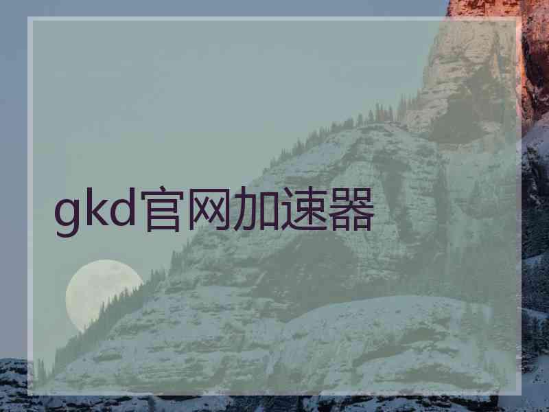 gkd官网加速器